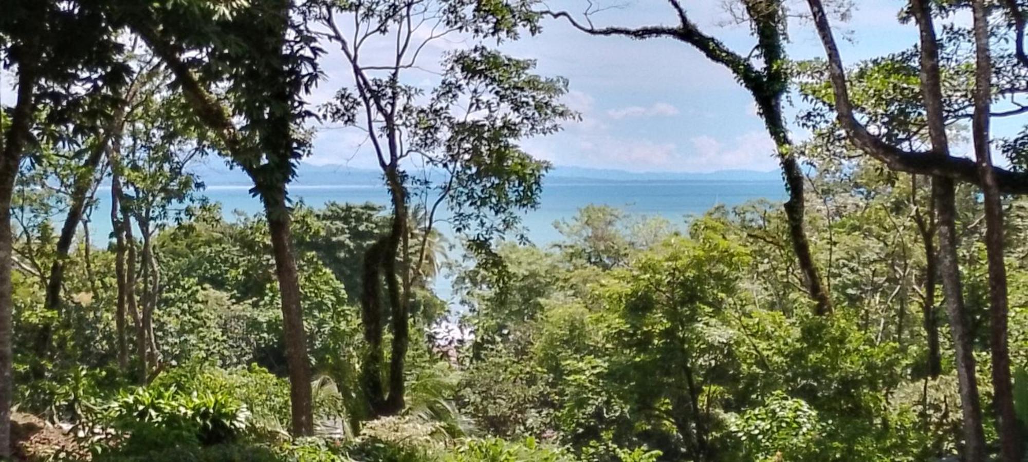 Ocean View Modern Dreamhouse 호텔 파보네스 외부 사진